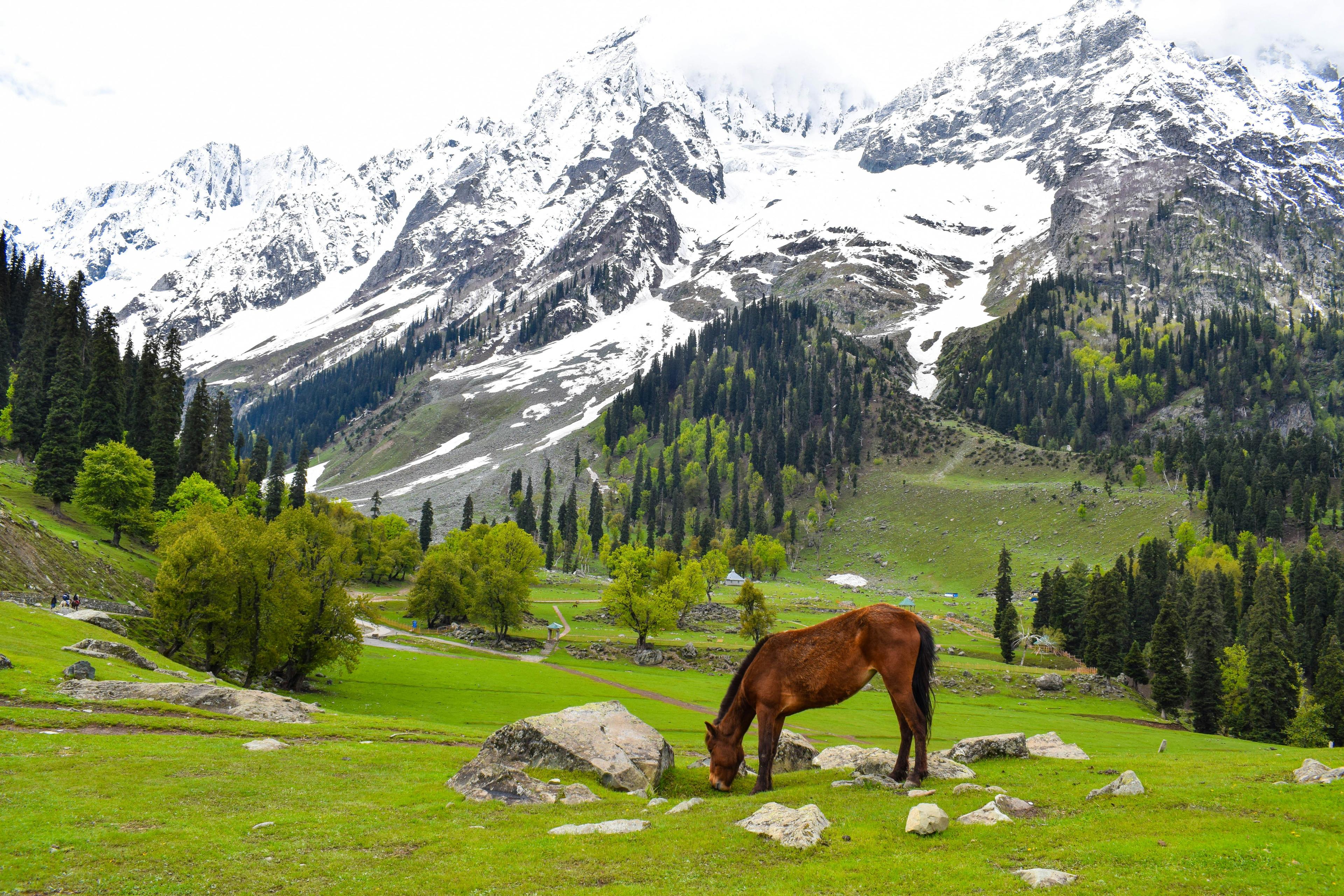 Heavenly Kashmir Heavenly Kashmir